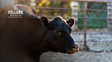 Conger Meat Market is a traditional meat locker based in Conger, MN