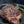 Load image into Gallery viewer, NYStrip Griller Bundle | 4 Premium Cuts