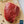 Load image into Gallery viewer, 7 oz Wagyu Sirloin Steak
